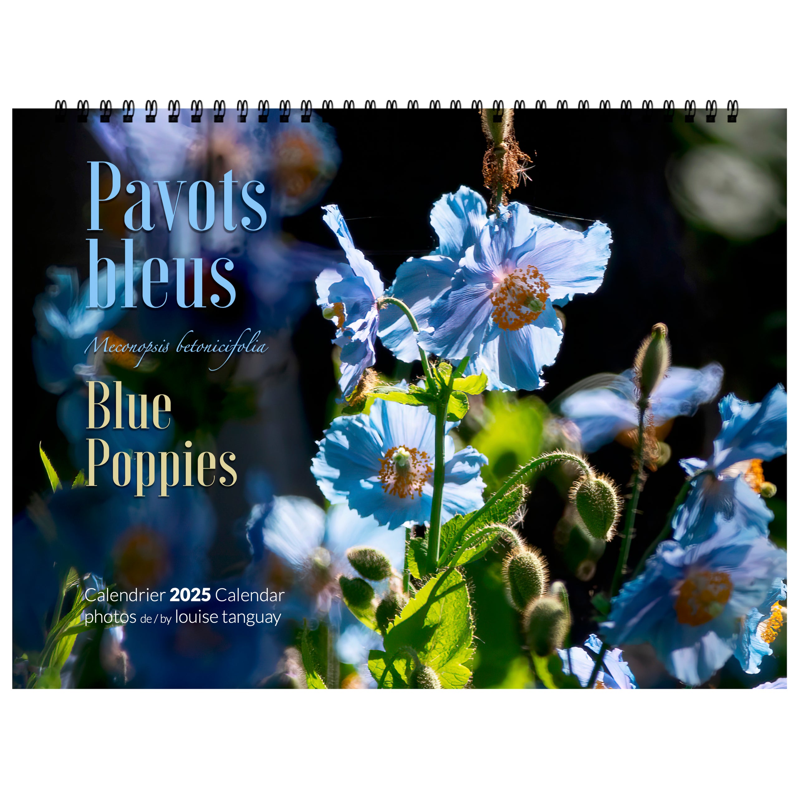 Calendrier Pavots bleus 2025 /Blue Poppies 2025 Calendar La Boutique